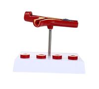 POPETPOP Modèle Anatomique Vasculaire Cardiovasculaire Réaliste pour Enseignement Médical Détail Pathologique des Plaques Artérielles Outil Pédagogique Physiologie et Anatomie