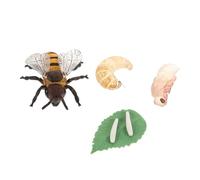 POPETPOP Modèle Cycle de Vie Abeille Éducatif Scientifique Garçon Fille Apprentissage Naturel Simulation