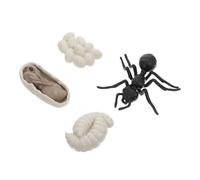 POPETPOP Modèle de Cycle de Vie de Fourmi Ouvrière Plastique Réaliste Jeu Éducatif pour Garçon Fille Figurines Évolution pour Apprentissage Cognitif