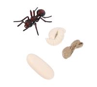 POPETPOP Modèle de Cycle de Vie Fourmi Rouge PVC Éducatif de Simulation pour Garçon Fille Apprentissage Biologique Précoce et Cognition Naturelle