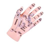 POPETPOP Modèle de Main Acupuncture Réaliste pour Enseignement Tcm avec Points Acupression Clairs Outil Pédagogique pour Réflexologie et Massage Cervicales Cou