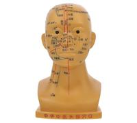 POPETPOP Modèle de Tête Médicale d'Acupuncture 20 CM en PVC Souple Écologique Modèle de Points d'Acupuncture Précis pour Massage et Enseignement Outil Pédagogique pour Anatomie Crânienne