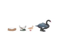 POPETPOP Modèle Éducatif Cycle de Croissance Cygne Réaliste Pédagogique Garçon Fille Cognition Nature