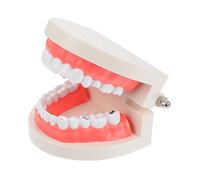 POPETPOP Modèle Éducatif pour Garçon Fille Accessoire de Jeu pour à Brosser les Dents pour Jeux de Rôle et Enseignement Précoce