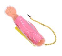 POPETPOP Modèle Musculaire Anatomique Humain en Papier, Démonstration Éducative Modulable Tissu Musculaire Détaillé, Modèle D'anatomie du Bras L'avant-bras, pour Études Médicales