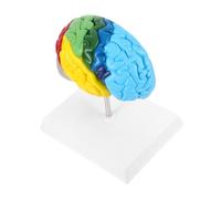 POPETPOP Outil Éducatif Anatomique pour Enseignement des Fonctions et Structures Du