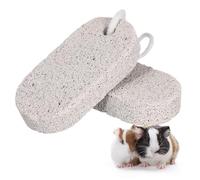 POPETPOP Pierre à Aiguiser Outil de Broyage Sûr pour Dents d'animaux en Roche Volcanique Rectangulaire 2 Pcs pour Molaires de Chinchilla et Cochon d'Inde