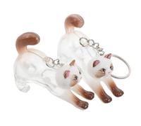POPETPOP Porte-clés pour Poils de Chat Décoratif Léger en Plastique et Alliage, Lot de 2 Capsules Transparentes pour Rangement Quotidien et Souvenirs d'animaux