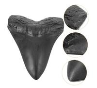 POPETPOP Réplique de Dent de Requin Mégalodon Modèle Géant Décoratif et Éducatif Accessoire Paléontologique pour Collection et Apprentissage