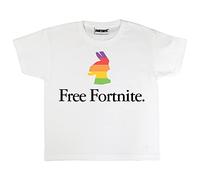 Popgear Free Fortnite Rainbow Llama Boys T-Shirt White, 12-13 Years Garçon