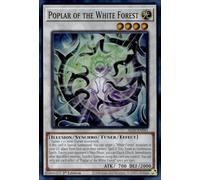 Poplar of The White Forest - ALIN-EN041 - Super rare - 1ère édition