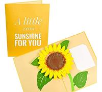 PopLife Cards mères de jardin tournesol jour carte pop up - toutes les occasions