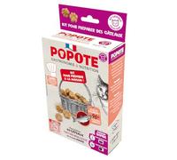 POPOTE - Friandises pour Chat - Recette au Saumon - Riche en Protéines Animale - Haute Digestibilité - Fabrication Française - A Cuisiner à la Maison - 1 Sachet de Préparation + 1 Dosette - 200 GR