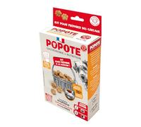 POPOTE - Friandises pour Chien - Recette au Poulet - Riche en Protéines Animale - Haute Digestibilité - Fabrication Française - A Cuisiner à la Maison - 1 Sachet de Préparation + 1 Dosette - 200 GR