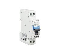 Popp® Interrupteur automatique magnétothermique industriel COURBE C DPN SÉRIE MSN81NC 6A 10A 16A 20A 25A 32A 40A (DPN, 40A)