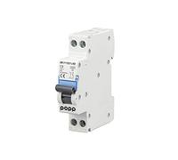 Popp® Interrupteur automatique magnétothermique industriel COURBE C DPN SÉRIE MSN81NC C6 6A 10A 16A 20A 25A 32A 40A (DPN, C6)