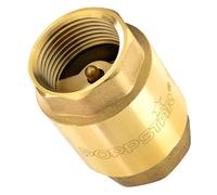 Poppstar Clapet Anti-retour 1 pouce (Laiton, Inoxydable & Étanche) pour Pompe et Lave-linge