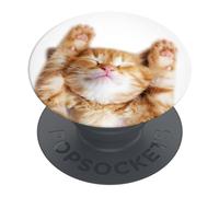 PopSockets | PopGrip | Support extensible et poignée pour smartphones et tablettes | Support de doigt Basic Snoozy Cat