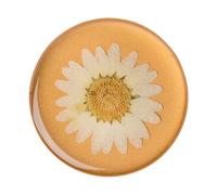 PopSockets Pressed Flower White Daisy