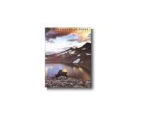 Popular Piano Solos: Book 2