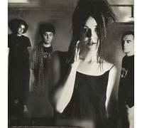 Cranes – Population Four – Vinyle 180 g argent/noir marbré – Édition limitée – Import