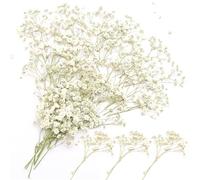 poraceous 100 Pièces Fleurs Séchées, 15cm Durable Fleurs Sechees Naturelles | Mini Gypsophile Séché, Bouquet de Gypsophile Séché de 15cm, pour Marque-Pages, Décoration DIY, Bijoux en Résine
