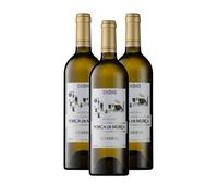 Porca de Murça Réserve - Vin Blanc - Lot de 3