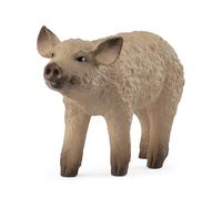Porcelet Mangalica