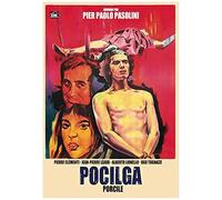 Porcherie (1969) / Porcile (Dvd)