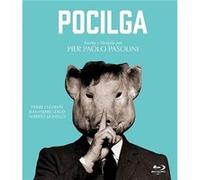 Porcile/Pigsty (1969) / Pocilga (BD-R) G