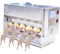 Porcinet Biberon, Mangeoire pour Porcinet 10/14 - Station de soin des tétons - Mangeoire en acier inoxydable pour porcelets, agneaux, convient aux petits animaux