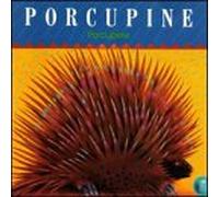 Porcupine - Porcuoine
