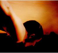 Porcupine Tree - On the Sunday of.. -Digi-