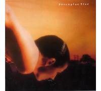 Porcupine Tree - On the Sunday of Life...
