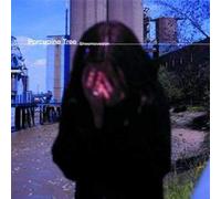 Porcupine Tree - Shesmovedon [Import]