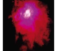 Porcupine Tree Up the Downstair (Vinyl) 12" Album