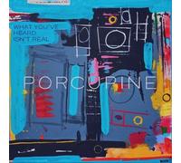 Porcupine What You've Heard Isn't Real (Vinyl) 12" Album