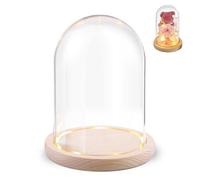 PORFOYO Cloche en verre avec fond bois, dôme décoratif sur socle naturel, 12 x 16 cm