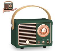 PORFOYO Mini Haut-Parleur Bluetooth Rétro, Portable Haut-Parleur sans Fil avec Radio FM, Rechargeable Poste Radio Vintage, Bluetooth 5.0/USB/TF/Aux, pour Vintage Décoration (G)