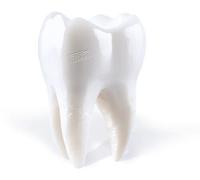 Porij - Teething [Compact Discs]