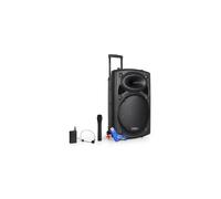 Port15-VHF 800W Enceinte Sono puissante Portable USB SD MP3 2 micros sans fils + Clé USB 32G