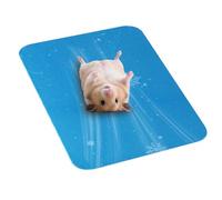 Portable Aluminum Summer Bed - Small Animal Ice Pad Cooling Plate | Crafted From Smooth, Lightweight Metal Designed For Quick Thermal Dissipation And Easy Cleaning In Crates, Cages, Or Resting