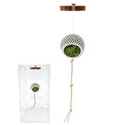 Portable Jumping Spider Climbing, Wooden Rope Activity Accessory, Durabled Cage Playground for Terrarium Reptiles Bearded Snakes Turtles Tortoises Frogs Hermit Crabs