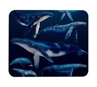 Portable Tapis de Souris d'Ordinateur Mammifères Marins avec Baleines Mouse Pad Mousepad 25x30cm pour Jeux,PC,Les capteurs de Jeu