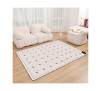 portable tapis Tapis de sol chauffants modernes, tapis de sol chauffants électriques mobiles intelligents for la maison, adaptés aux bureaux, salons et chambres tapis coussin(ColorF,150*100cm)
