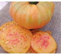 Portal Cool 40X ananas Tomates Graines Jaune Rouge - - - - # 49