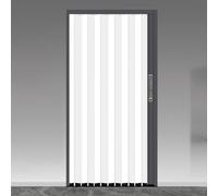 Porte accordéon intérieure avec verre dépoli trempé pour placard et chambre à coucher, solution gain de place