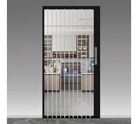 Porte accordéon intérieure avec verre dépoli trempé pour placard et chambre à coucher, solution gain de place