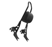 Porte-bagages Arrière Pour Sportster 883 Pour XL883 2004 2005 2006 2007 2008 Porte-bagages Moto Dossier Amovible Pour Moto, Coussin Vertical Pour Sissy Bar