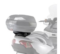 PORTE-BAGAGES Pour Suzuki BURGMAN 650 (2013)